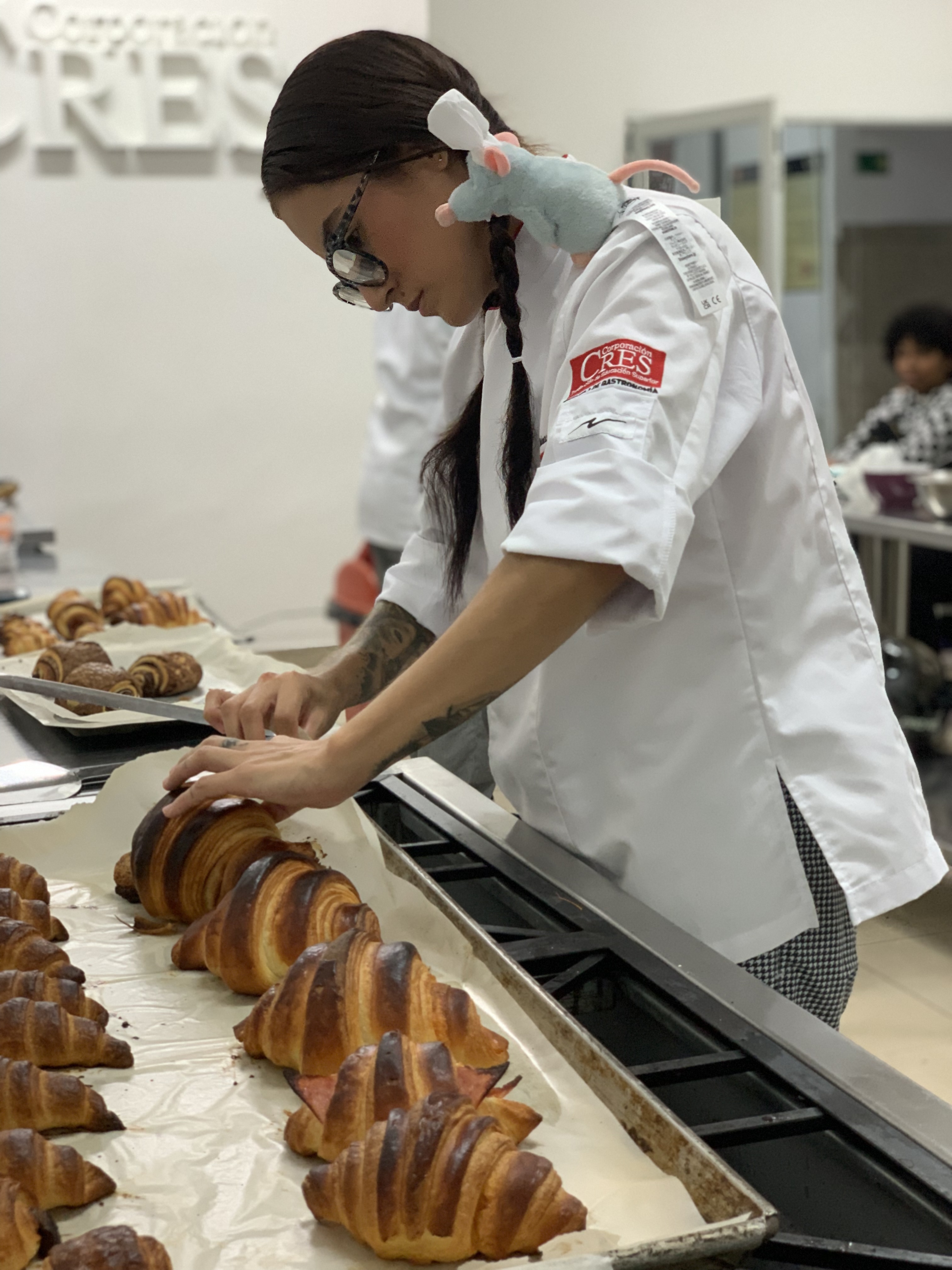 Imagen de galería